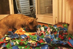 Snuffle Mat per i cuccioli 3